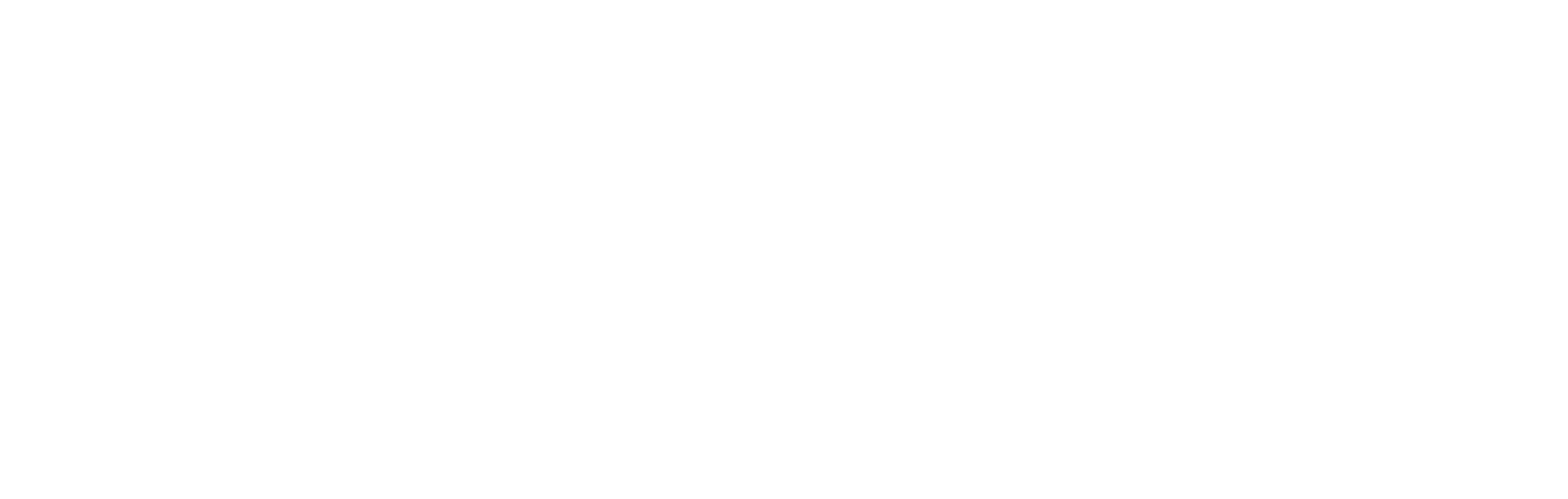 aditon white logo2